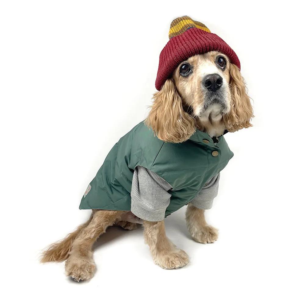 Dog Puffer Vest Jacket - Evergreen