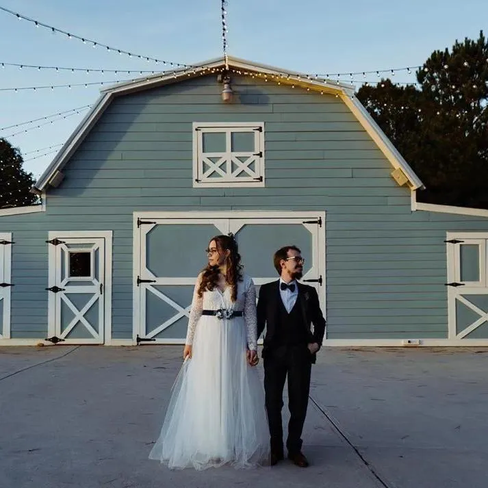 Ivory Tulle and Lace Long Sleeve Wedding Maxi Dress 1125