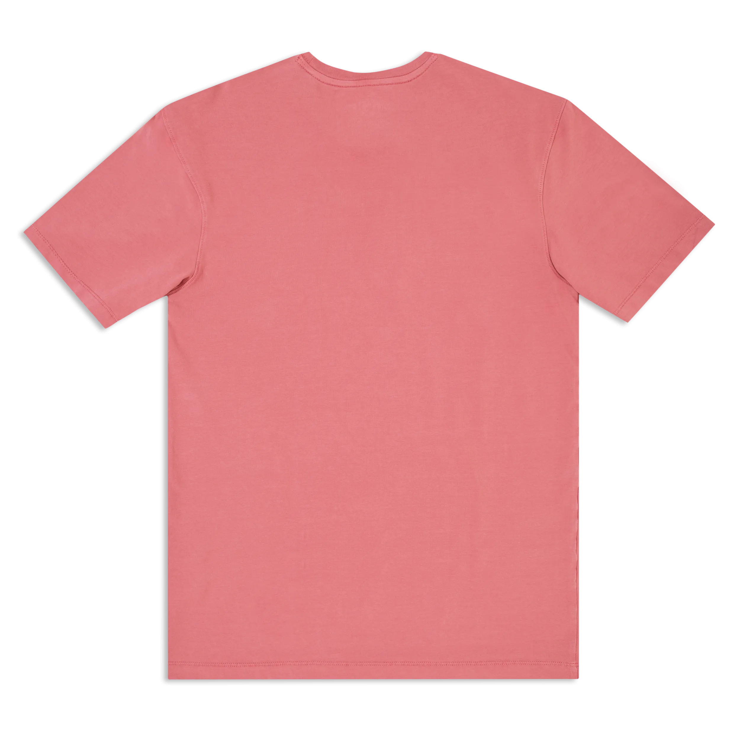 Natural Dye Graphic Tee