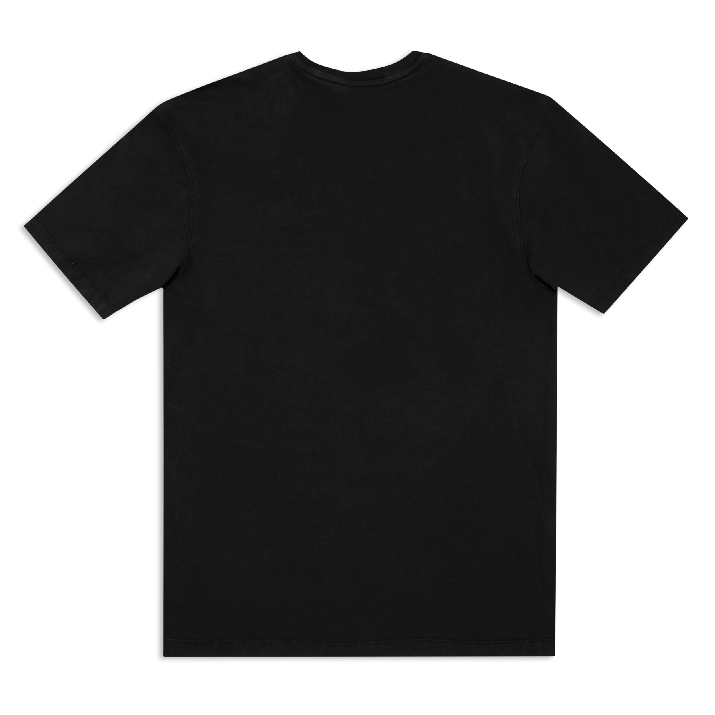 Natural Dye Graphic Tee