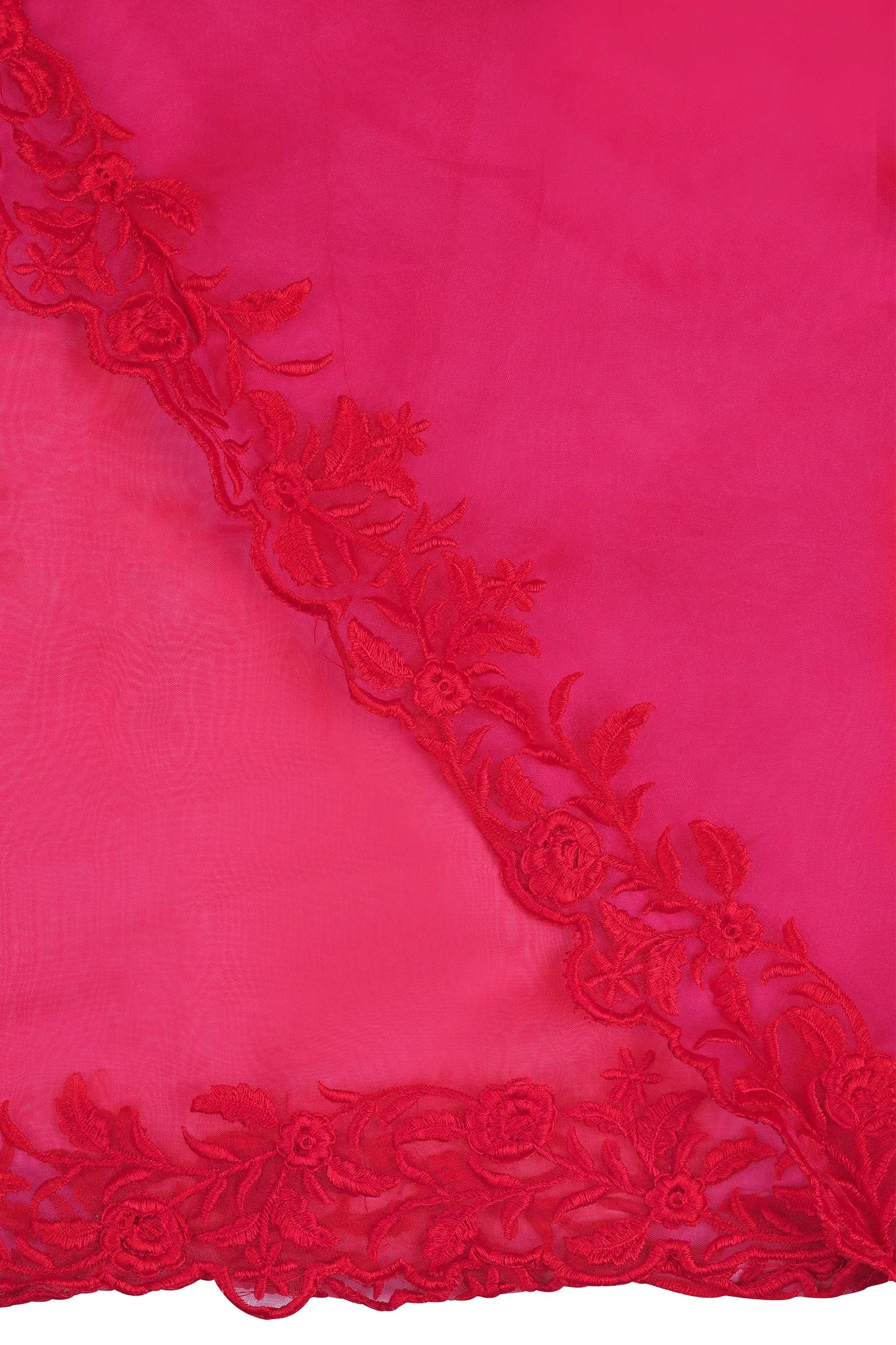 Teejh Spring Serenade Organza Saree